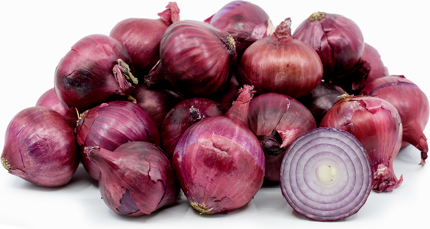 Red Onion