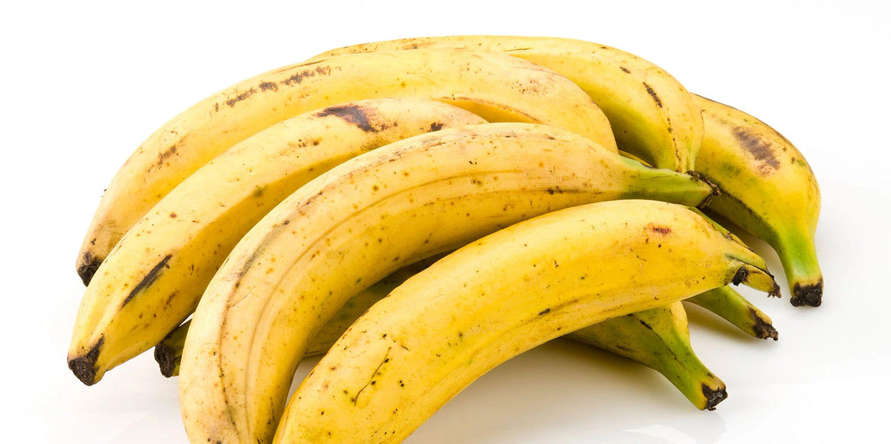Plantain